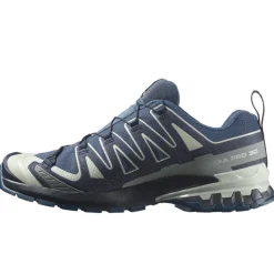 Scarpe uomo XA Pro 3D V9 GTX