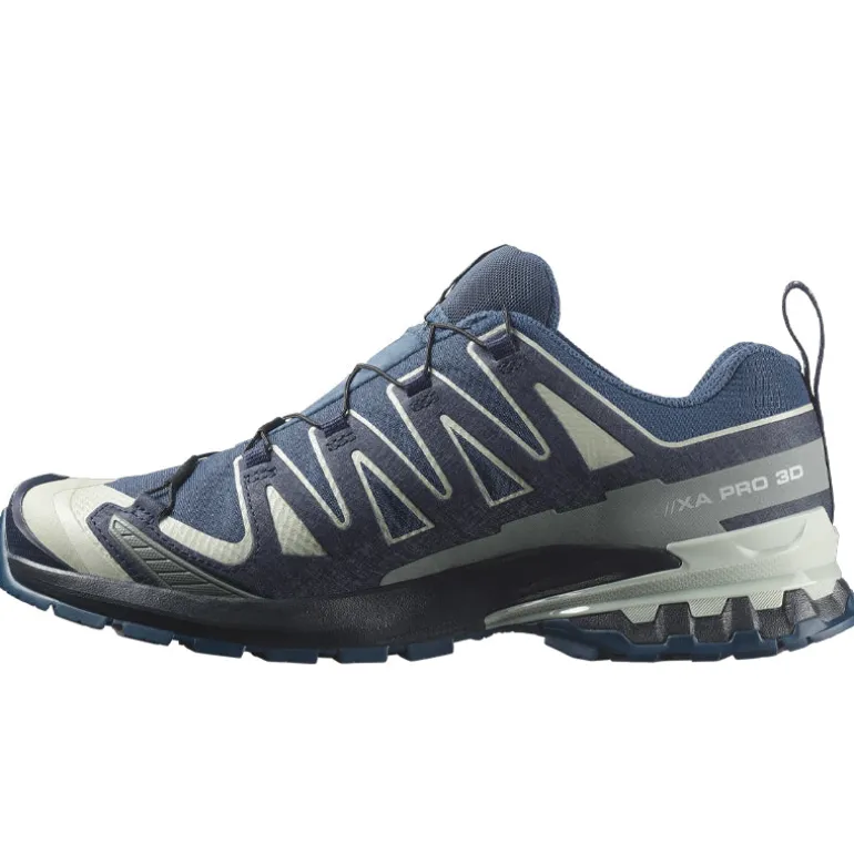 Scarpe uomo XA Pro 3D V9 GTX
