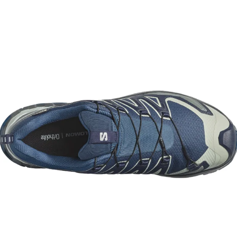 Scarpe uomo XA Pro 3D V9 GTX