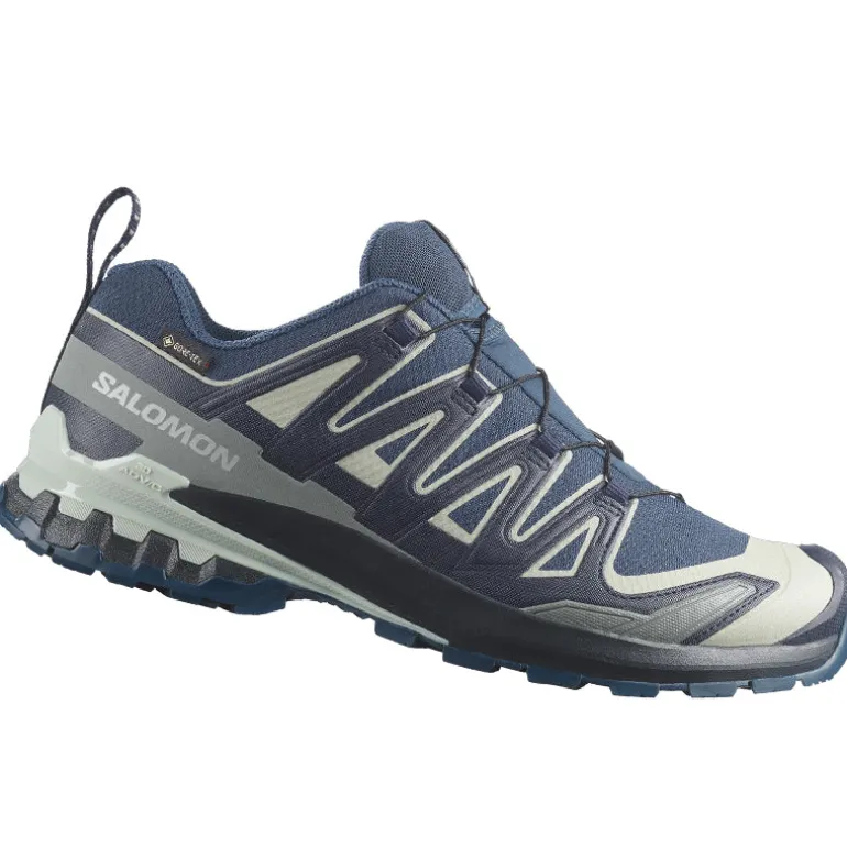 Scarpe uomo XA Pro 3D V9 GTX