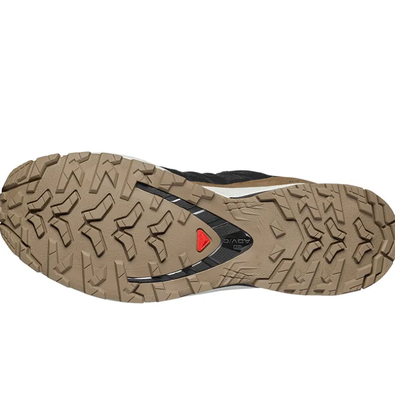 Scarpe uomo XA Pro 3D V9 GTX Lifelong