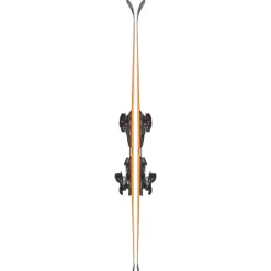 Sci Firebird 70 RS TI + Xcell12 Demo 2026